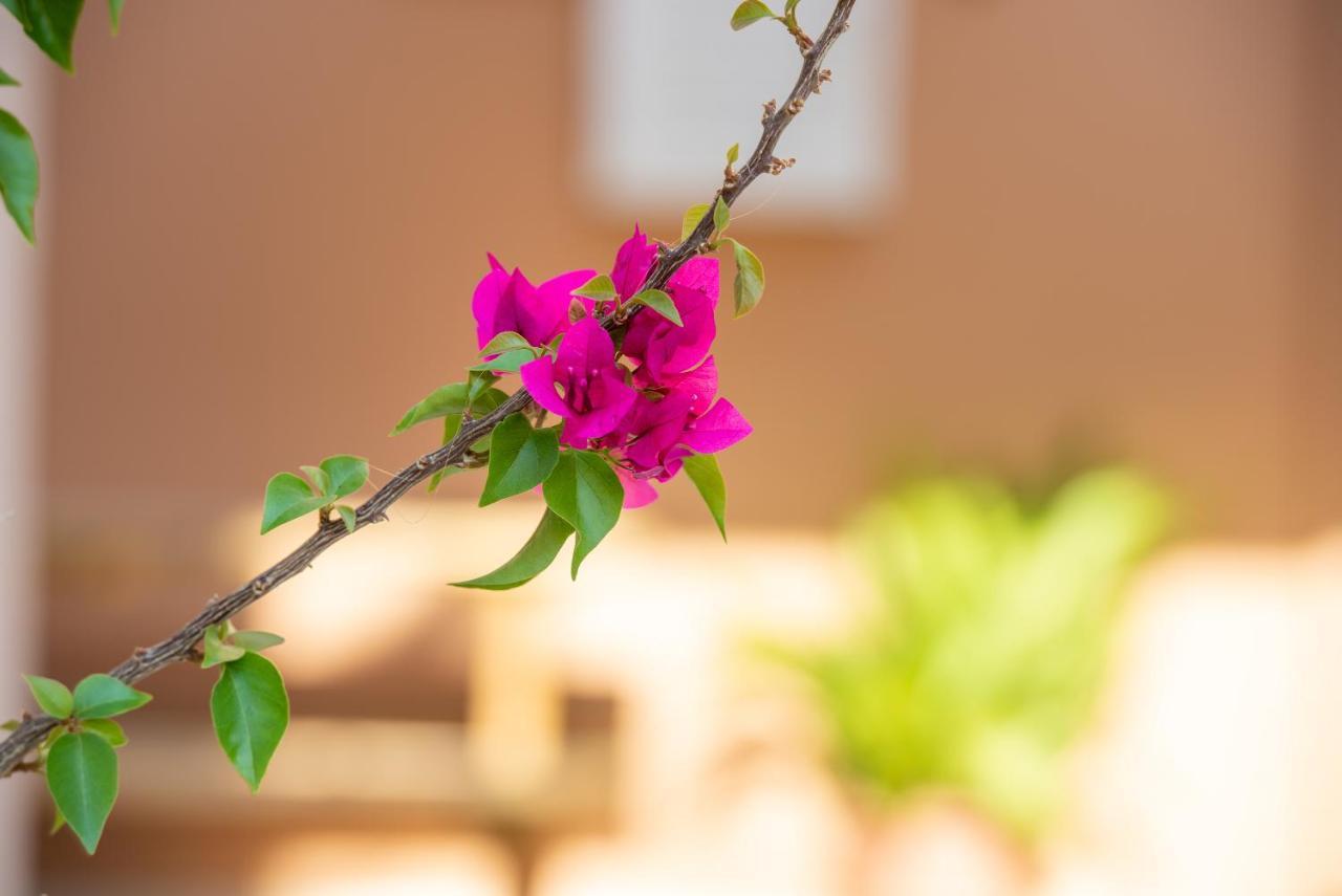 Villa Maria 2 Toroni Ngoại thất bức ảnh